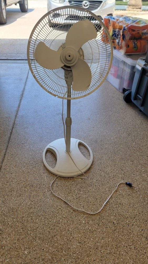 Fan