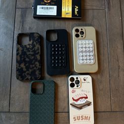 iPhone 13 Pro Max Cases And One Privacy Screen Protector 