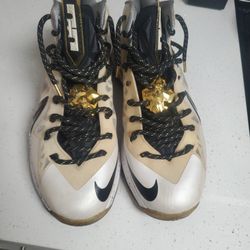Lebron 10 P.S. Elite