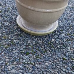 Beige  Pots ,heavy