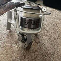 Phlueger Trion fishing reel
