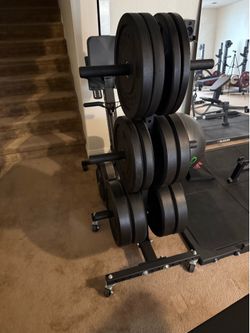 Rogue Vertical Plate Tree with Wheel