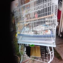 Bird Cage On Wheels 