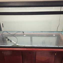 120" X 20" X 18 Fish Tank and Stand