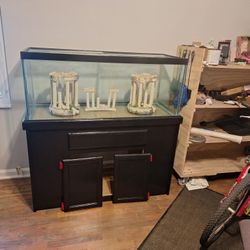 75 Gallon Aquarium 