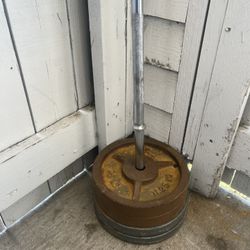 Weight Bar And 4 25 Lb Weights With Locks