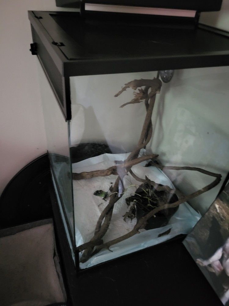 Terrarium