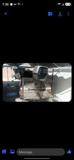 Dog cages