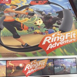 Nintendo switch ring fit