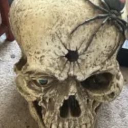 Large Decorative Halloween Skull with Spider – Haunted House Quality Prop