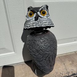 Owl Decoy