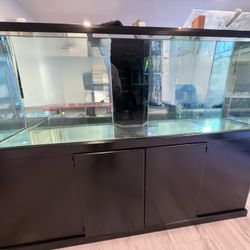 180 Gallon Glass Aquarium Fish Tank w/ Stand and Filter