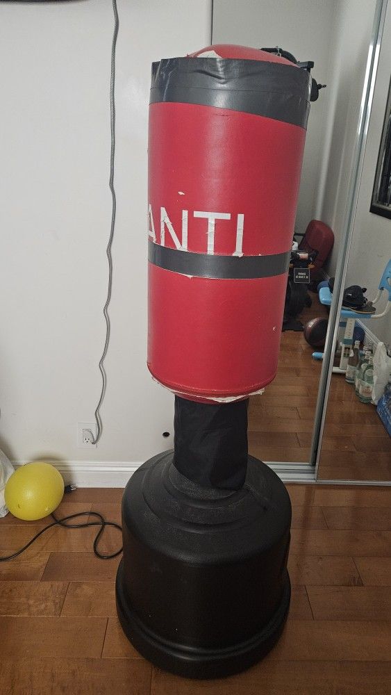 Avanti Punching Bag