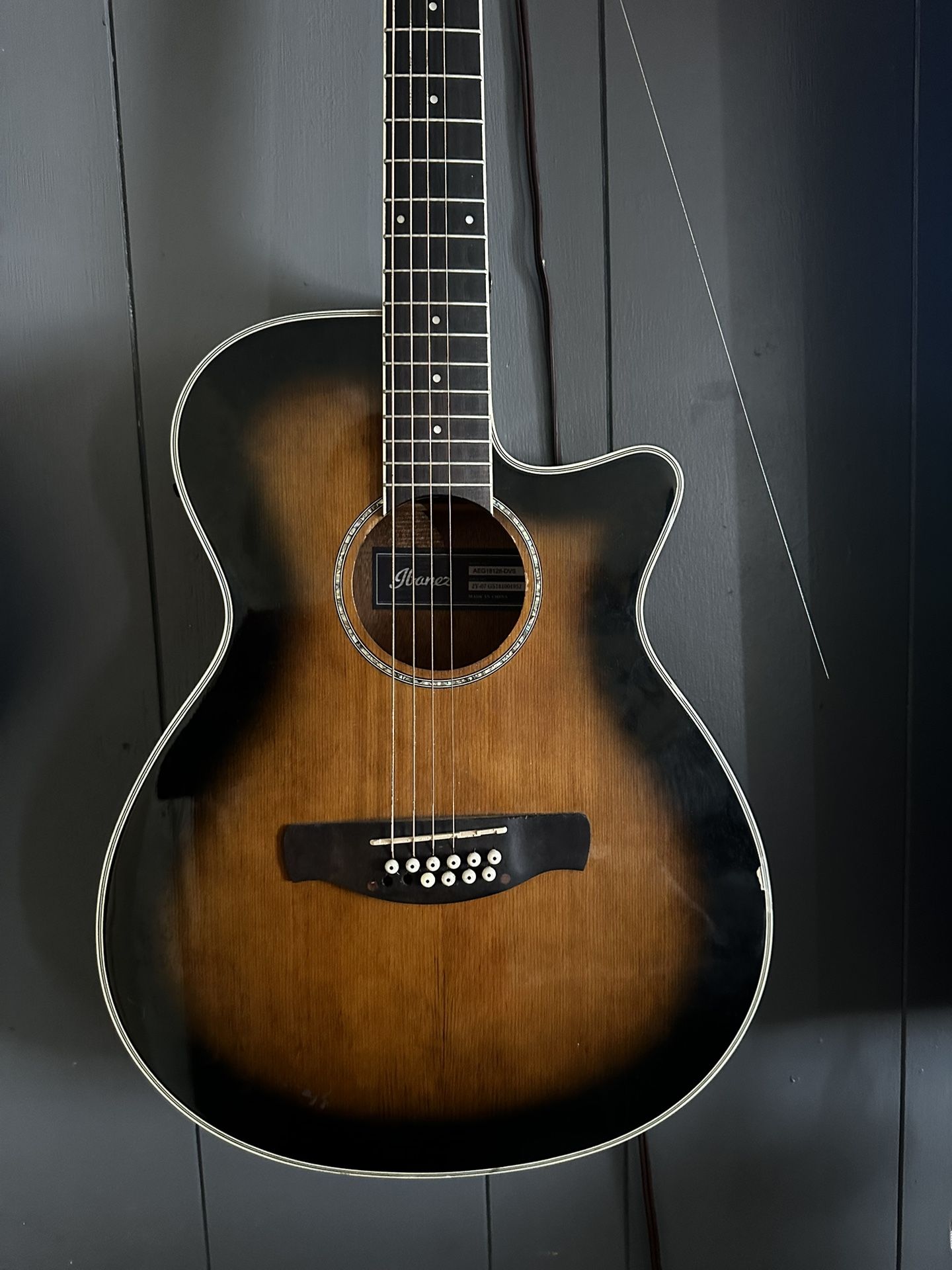 Ibanez 12 String Guitar