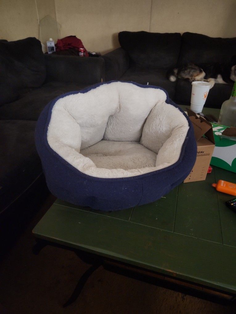 Cat Bed