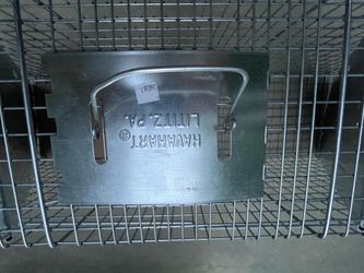 New Large Havahart Trap