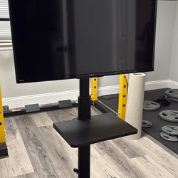 TV with Stand