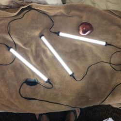 Dimmable LED light bars. 3 sections 12” long