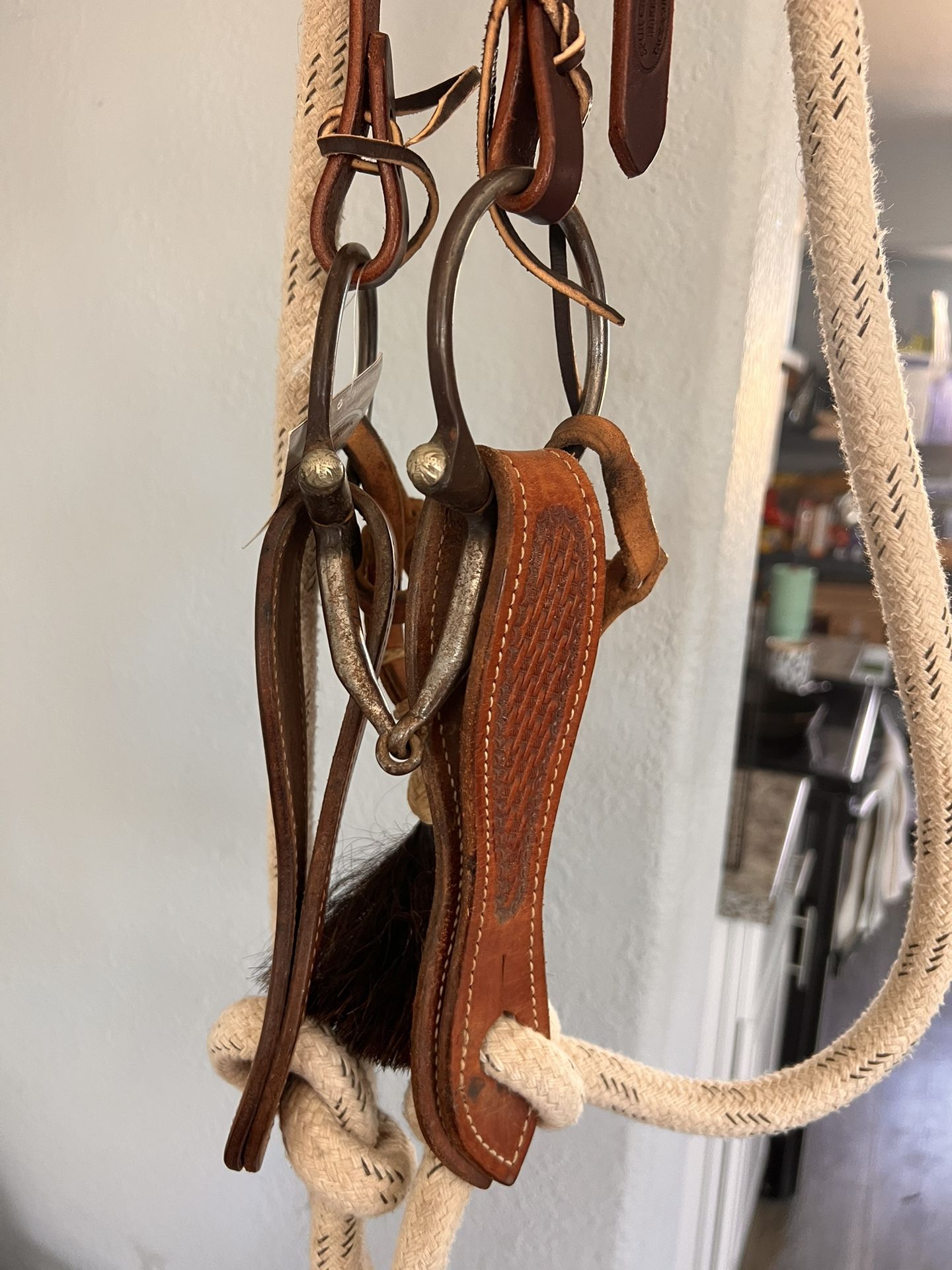 New Snaffle Set Up