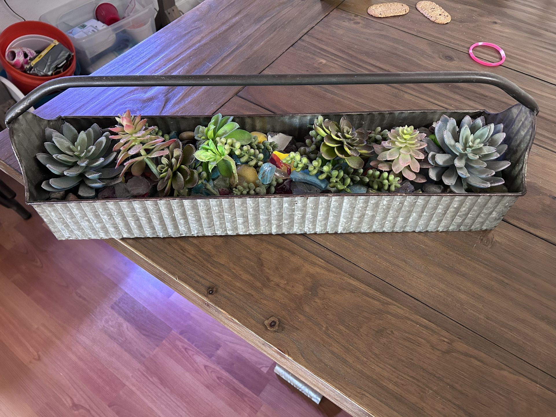 Succulent Decor