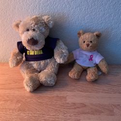 Two Small, Teddy Bears
