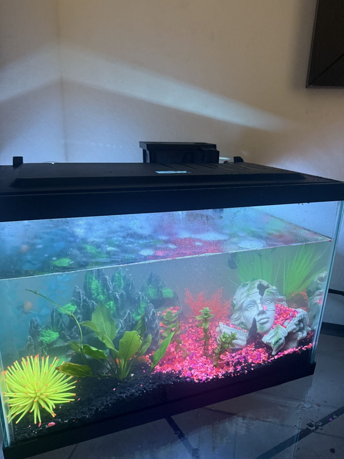 Live Aquarium, Pump And Decors Over $700 Value