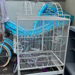 Bird Cage