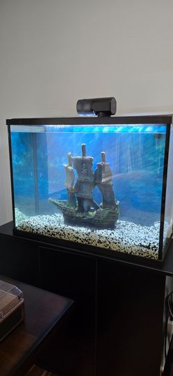 30 gallon aquarium with accessories