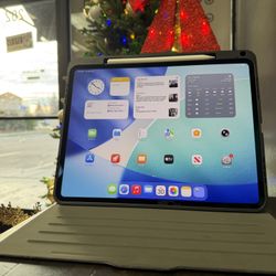 iPad Pro 13” M4 Cellular 1 TB w/ Apple Pencil & Case