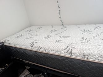 Twin Mattress and metal bedframe