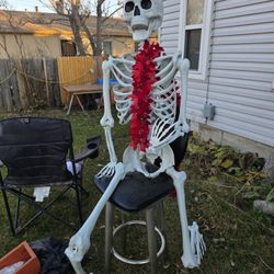 Large Skeleton 