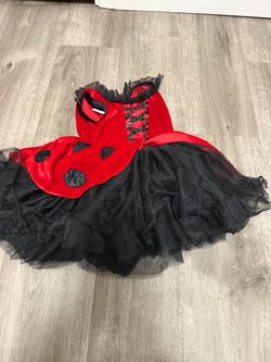 Lady bug costume 5t
