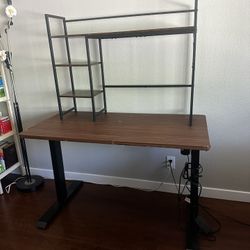 Electric Standing Desk And Desk Organizer 