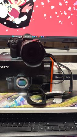 Sony A7ii Camera Sigma Lens