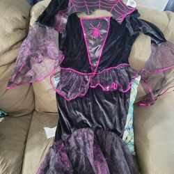 Spider Girl Holloween Costume
