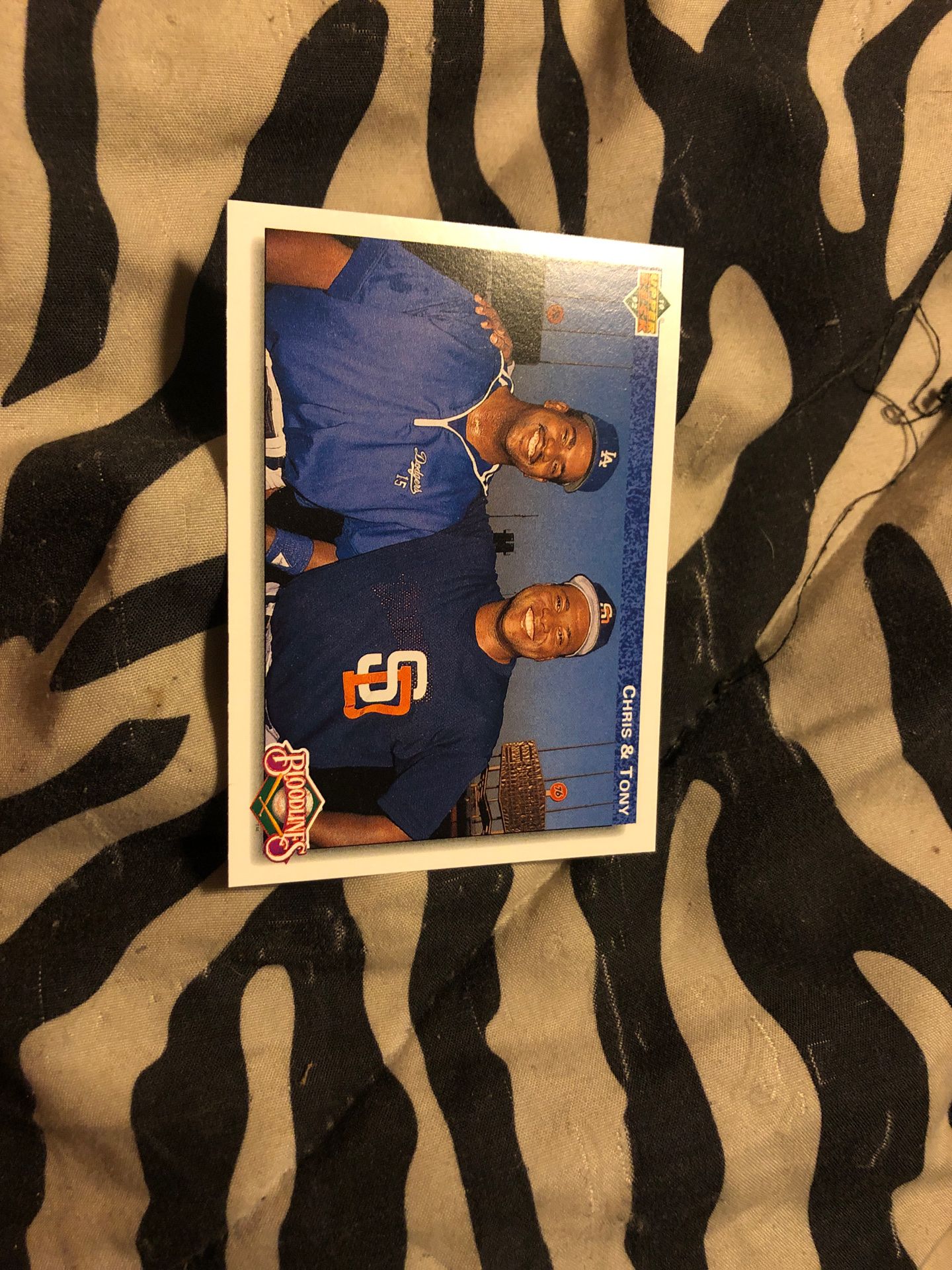Chris and Tony Card