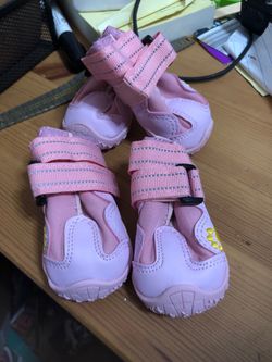 Dog Shoes