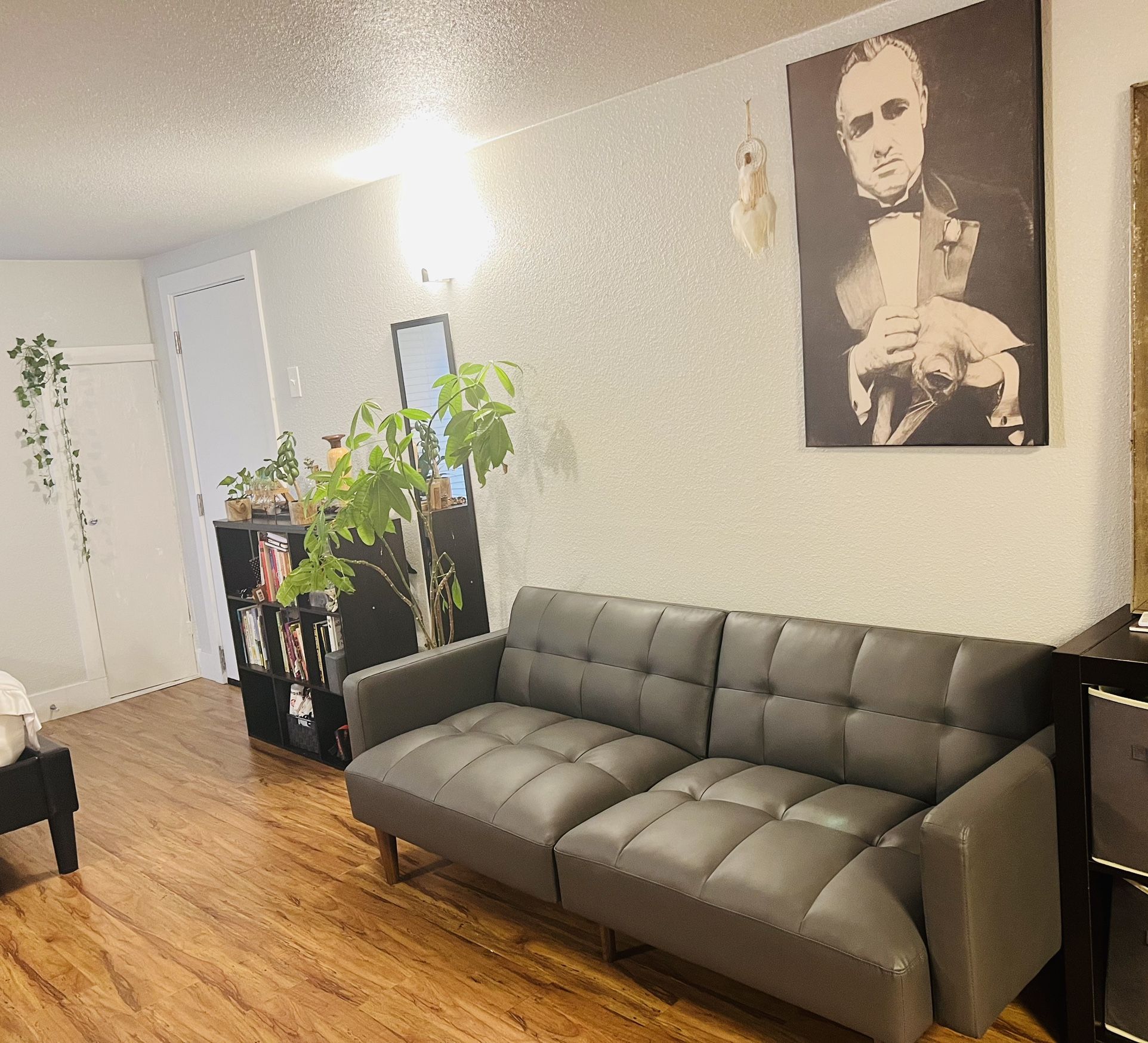 Chic, Mid-century Modern Futon Couch