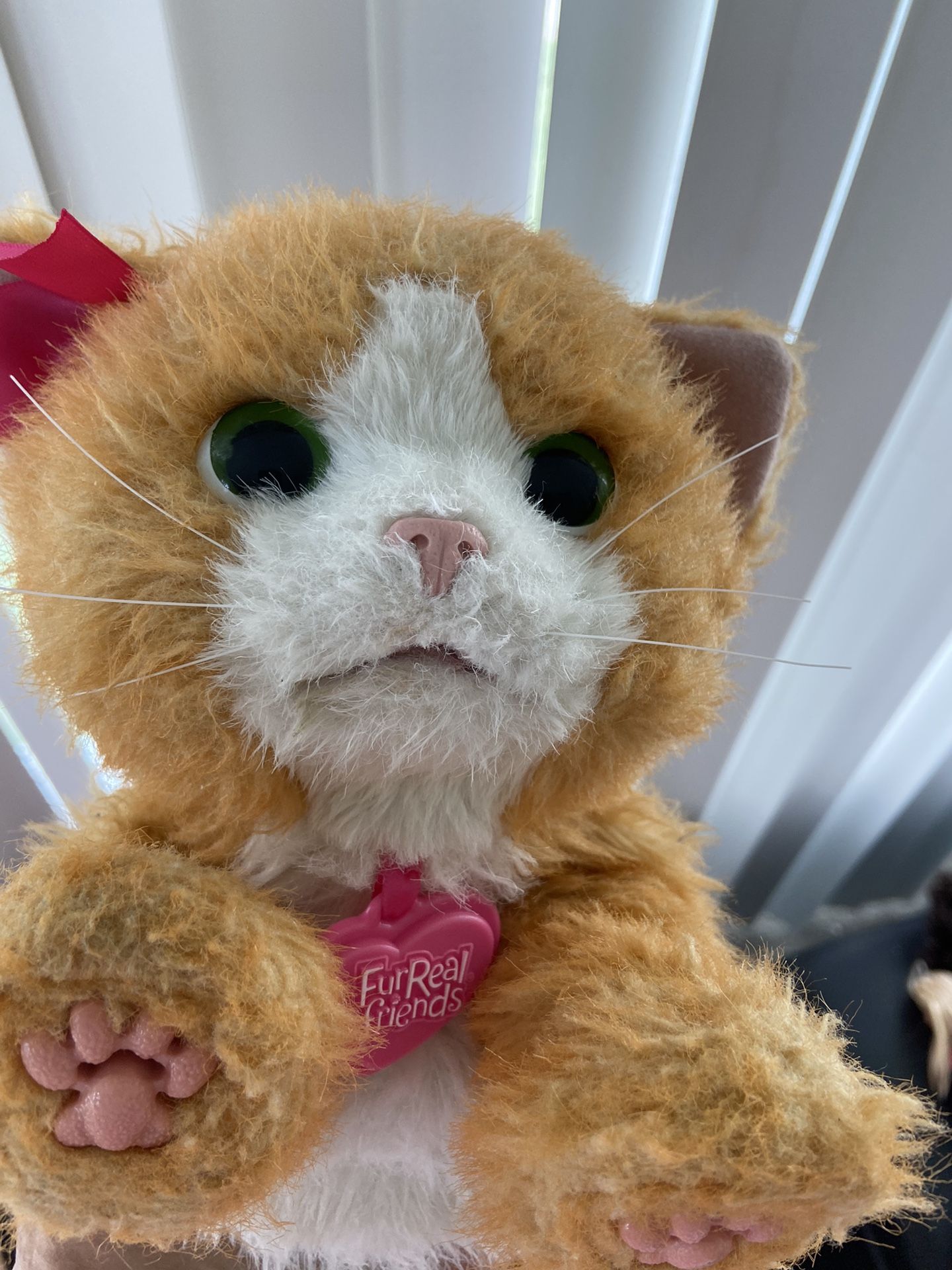 Moving Cat Toy