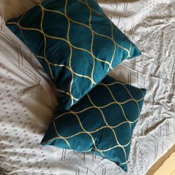 2 Decor Cushion 