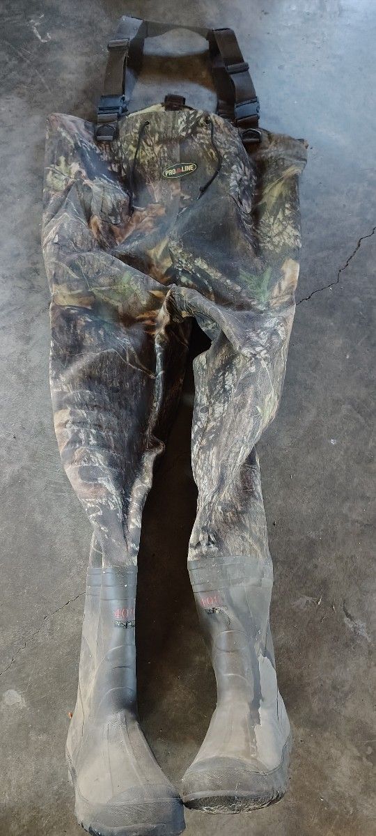 Waders 