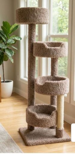 Cat Condo