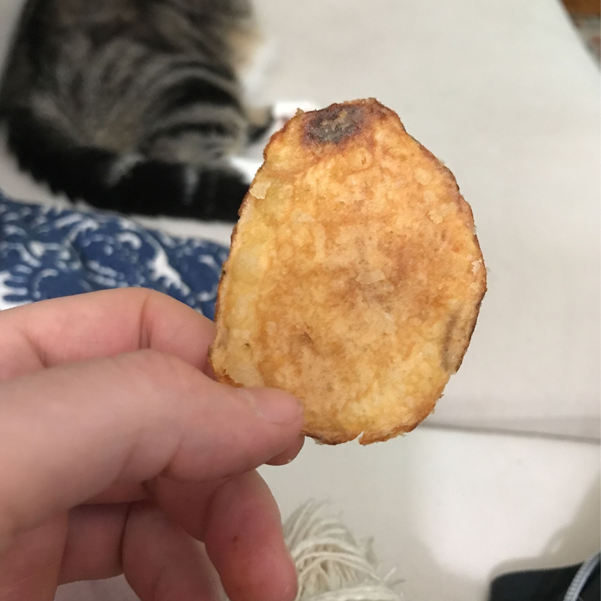 Perfect Potato Chip - Kettle Brand Salt And Vinegar