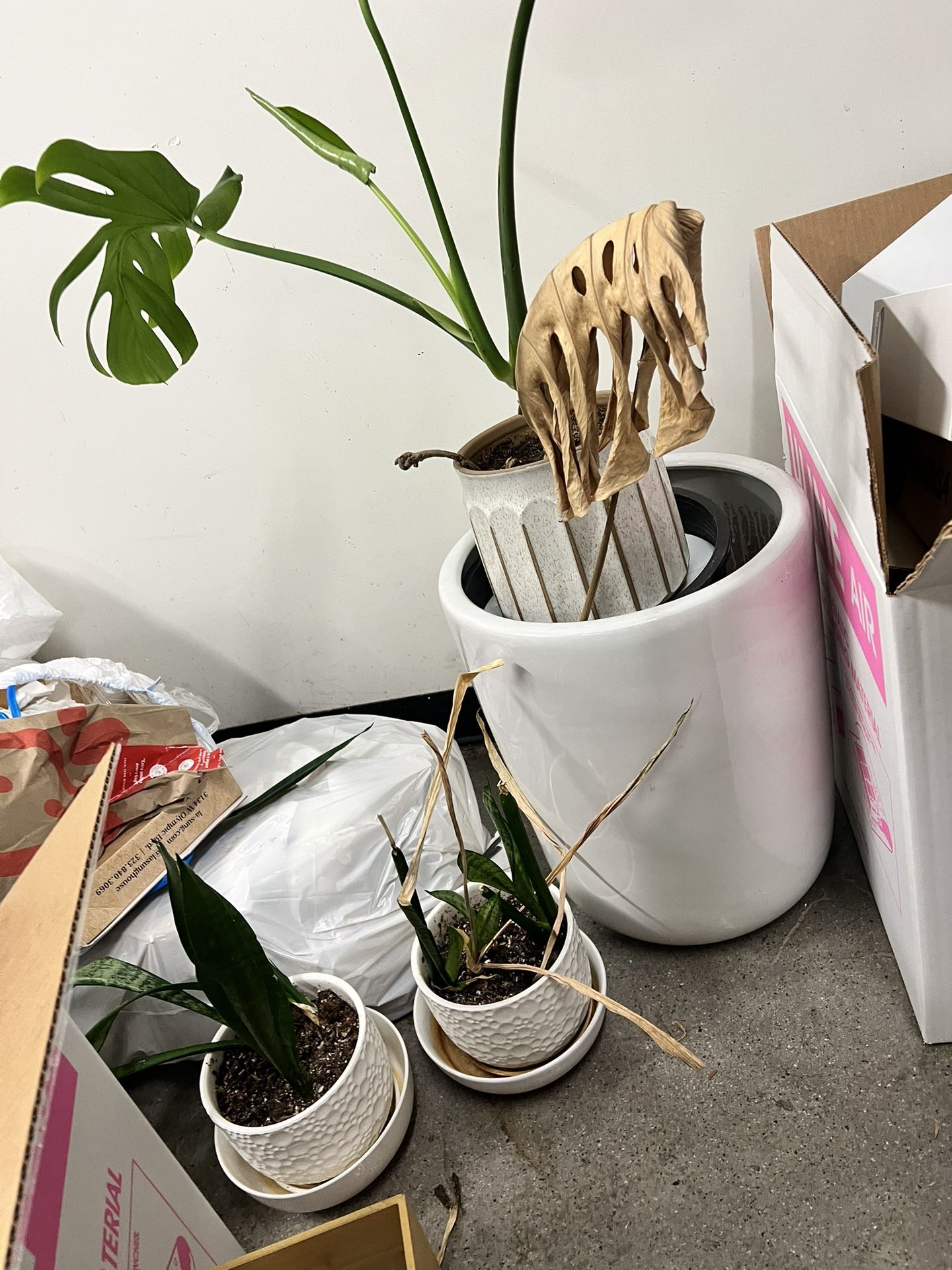 Fiberglass Pots / Good/ New $40 For All