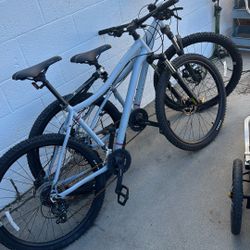 Two REI Coop Mountain Bikes 