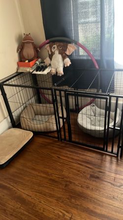 Dog Crate
