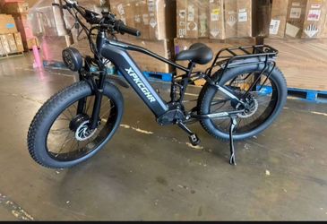 Electric Bike Dual Motor