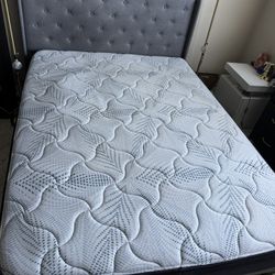 Queen Bed Frame and Queen Mattress