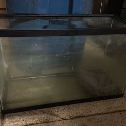 29 Gallon Tall Tank