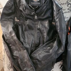 Harley Davidson Leather Jacket
